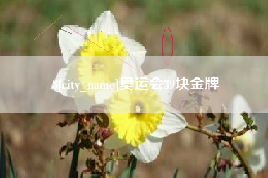 分宜奥运会39块金牌