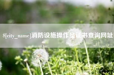 分宜消防设施操作员证书查询网址