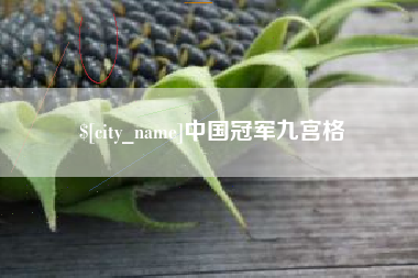 分宜中国冠军九宫格