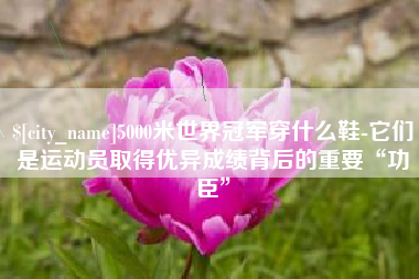 分宜5000米世界冠军穿什么鞋-它们是运动员取得优异成绩背后的重要“功臣”