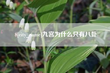 分宜九宫为什么只有八卦
