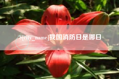 分宜我国消防日是哪日