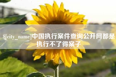 分宜中国执行案件查询公开网都是执行不了得案子