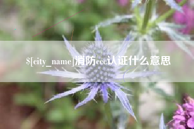 分宜消防ccc认证什么意思