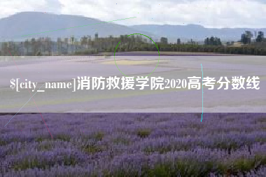 分宜消防救援学院2020高考分数线