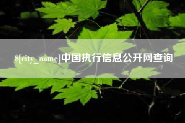 分宜中国执行信息公开网查询