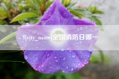 分宜全国消防日哪一