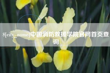 分宜中国消防救援学院官网首页查询