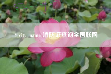 分宜消防证查询全国联网