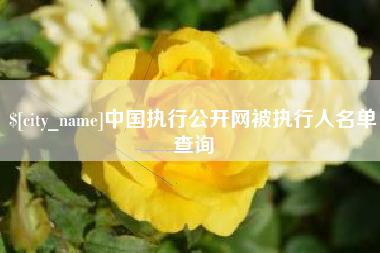 分宜中国执行公开网被执行人名单查询