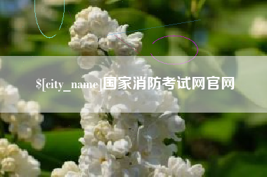 分宜国家消防考试网官网