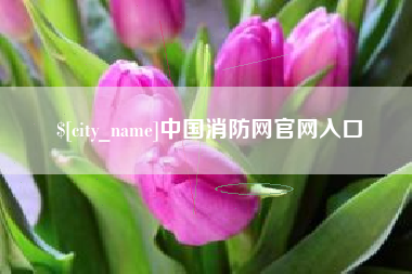 分宜中国消防网官网入口