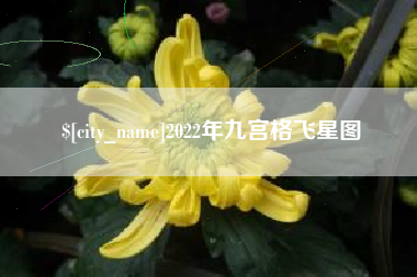 分宜2022年九宫格飞星图