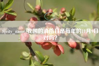 分宜我国的消防日是每年的11月9日对吗？
