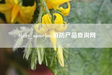 分宜ccc消防产品查询网