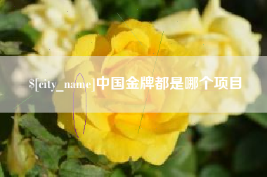 分宜中国金牌都是哪个项目