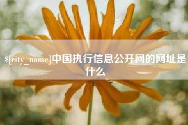 分宜中国执行信息公开网的网址是什么