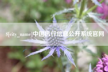 分宜中国执行信息公开系统官网