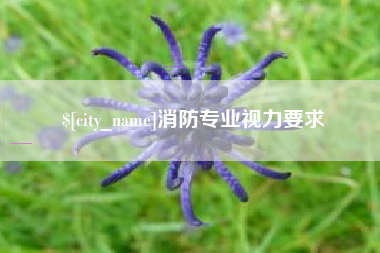 分宜消防专业视力要求