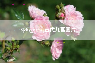分宜古代九宫图片