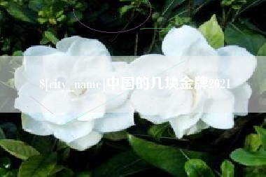 分宜中国的几块金牌2021