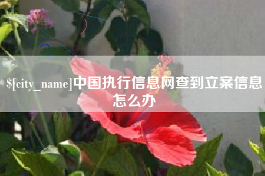 分宜中国执行信息网查到立案信息怎么办