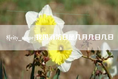 分宜我国消防日是几月几日几日