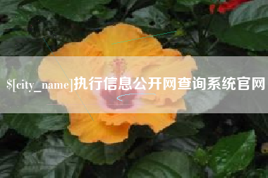 分宜执行信息公开网查询系统官网