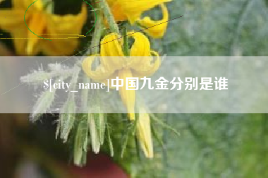 分宜中国九金分别是谁