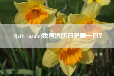分宜我国消防日是哪一日？