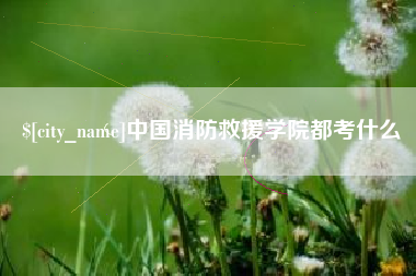 分宜中国消防救援学院都考什么