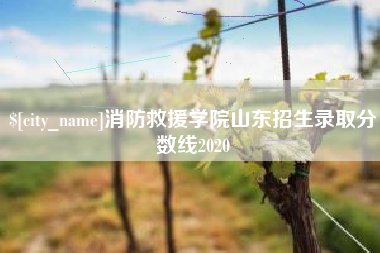 分宜消防救援学院山东招生录取分数线2020