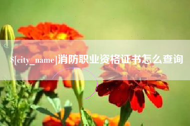 分宜消防职业资格证书怎么查询
