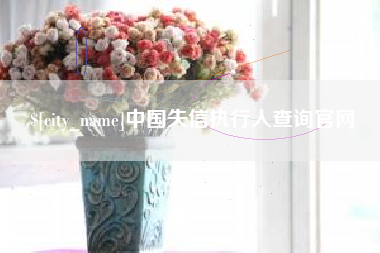 分宜中国失信执行人查询官网