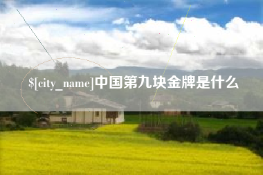 分宜中国第九块金牌是什么