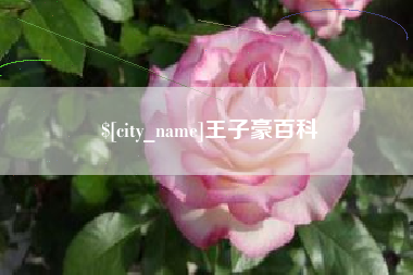 分宜王子豪百科