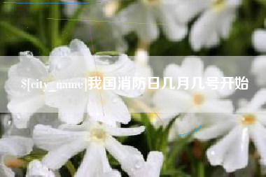 分宜我国消防日几月几号开始