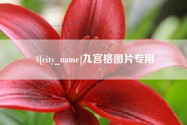 分宜九宫格图片专用