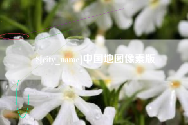 分宜中国地图像素版