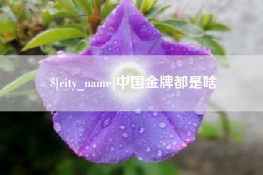 分宜中国金牌都是啥
