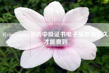 分宜消防中级证书电子版查询多久才能查到
