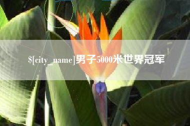 分宜男子5000米世界冠军