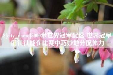 分宜5000米世界冠军配速-世界冠军们往往能在比赛中巧妙地分配体力