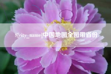 分宜中国地图全图带省份