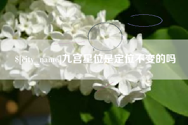 分宜九宫星位是定位不变的吗