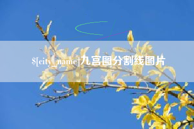 分宜九宫图分割线图片