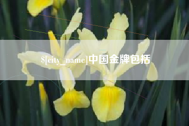 分宜中国金牌包括
