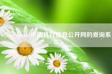 分宜中国执行信息公开网的查询系统