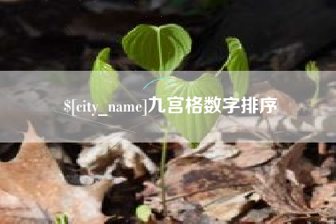 分宜九宫格数字排序