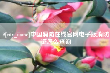 分宜中国消防在线官网电子版消防证怎么查询